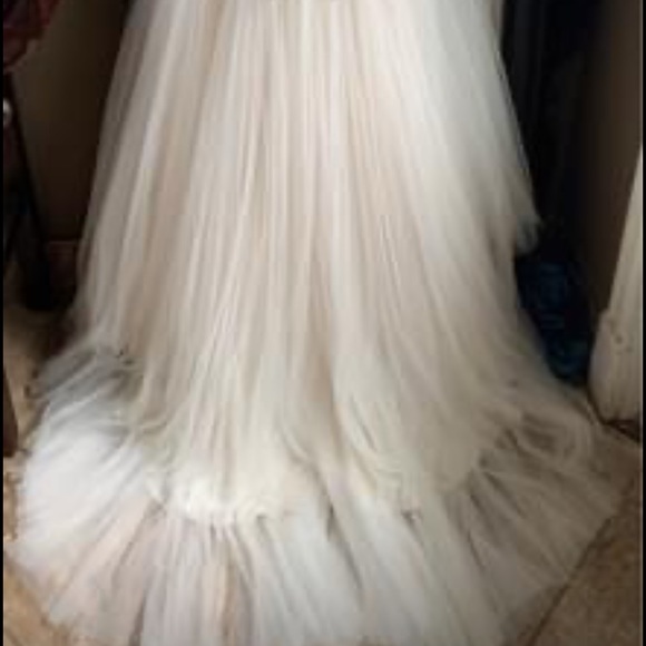 Beautiful Champagne Wedding Dress - Picture 8 of 9